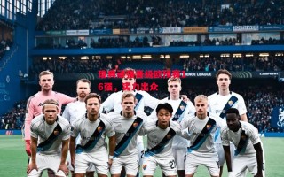 易胜博体育官方网站-瑞典顽强晋级欧预赛16强，实力出众