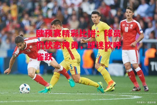 ysbSPORTS-欧预赛精彩比拼：球员们状态神勇，球迷欢呼雀跃-第1张图片-易胜博体育