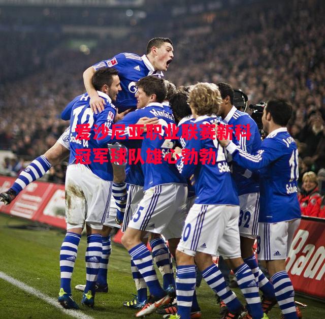 易胜博体育官方网站-爱沙尼亚职业联赛新科冠军球队雄心勃勃-第2张图片-易胜博体育