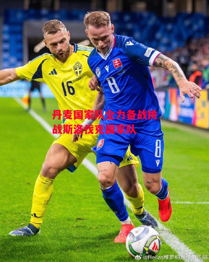 易胜博体育官方网站-丹麦国家队全力备战挑战斯洛伐克国家队-第1张图片-易胜博体育