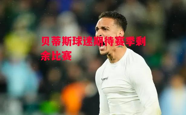 易胜博体育-贝蒂斯球迷期待赛季剩余比赛-第1张图片-易胜博体育