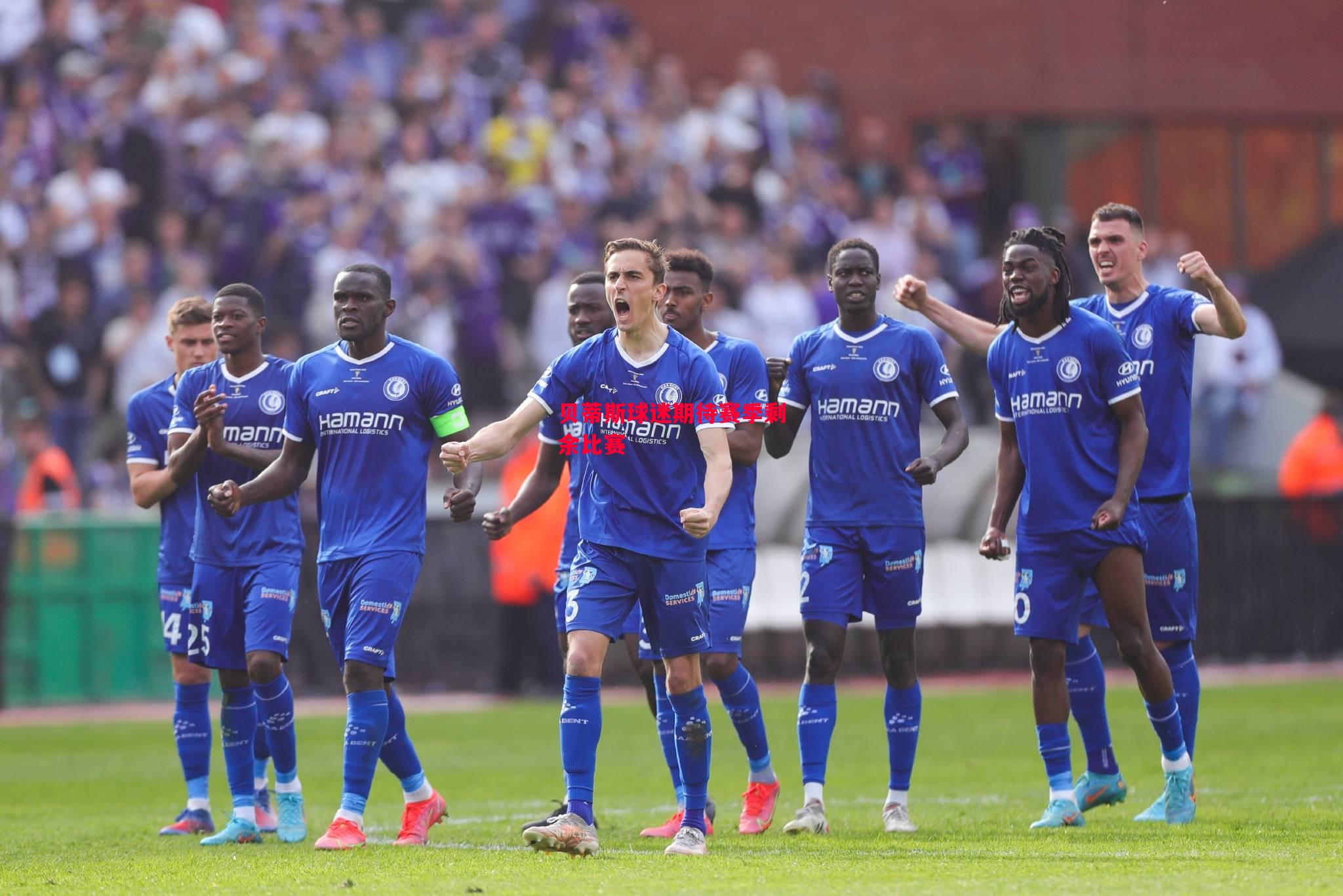 易胜博体育-贝蒂斯球迷期待赛季剩余比赛-第2张图片-易胜博体育