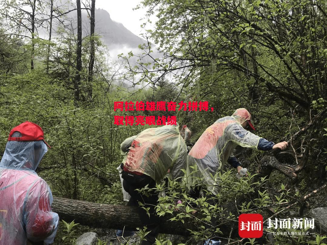 ysbSPORTS-阿拉伯雄鹰奋力拼搏，取得亮眼战绩-第2张图片-易胜博体育